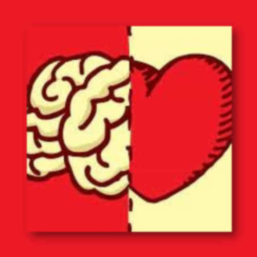 Se lanza el taller «Neurociencia cognitiva y educación emocional» destinado a docentes de todos los niveles