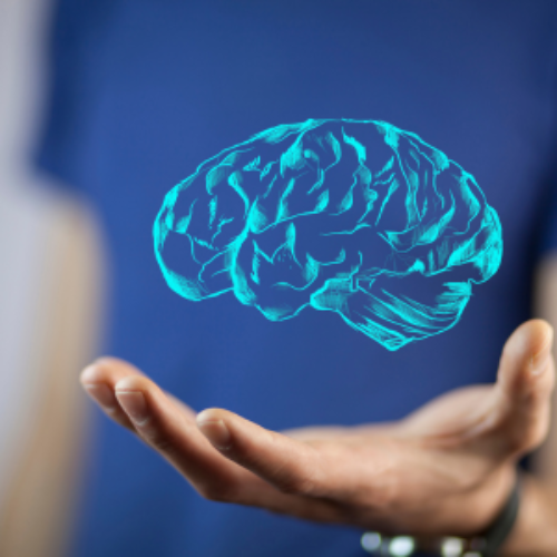 En su última cohorte, comienza el taller intensivo “Neurociencia Cognitiva y Educación Emocional”