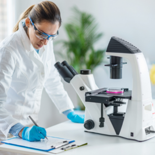 El IES Tomás Godoy Cruz lanza especialización superior en Ciencias Experimentales en Laboratorio y Contexto