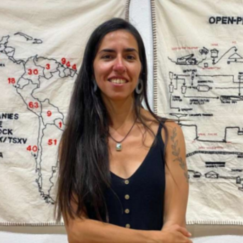 Con «La Furia de las Malezas» de Guadalupe Carrizo arrancan las muestras del Espacio de Arte Tomás Godoy Cruz